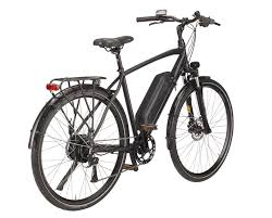 Aldi E Bike 2020 Prophete Pedelec Im Faktentest Ebike News De