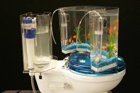 Jika ingin membuat aquarium sendiri, anda bebas membuat bentuk aquarium sesuai selera. Desain Akuarium Anti Mainstream Paling Unik Di Dunia