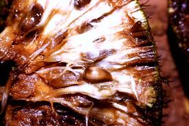 Image result for Treculia