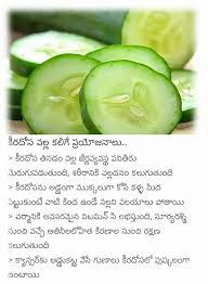 Jan 10, 2007 · actual word of telugu is telungu only. Zucchini In Telugu Vegetable