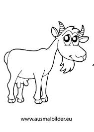 Ausmalbild Ziege In 2020 Ausmalen Ausmalbilder Tiere Ausmalbilder