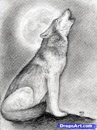 How To Draw A Howling Wolf Step 15 Animal Drawings Realistic Drawings Wolf Drawing