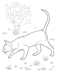 30 printable cat coloring pages your toddler will love. Cat Coloring Pages For Adults Best Coloring Pages For Kids