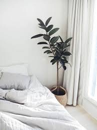 White on white, plants and big framed art. Pin By Ricarda Souveraen Leben R On Schlafzimmer Bedrooms Bedroom Decor White Interior Design House Interior