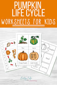 Little Learners Print Go Activity Kit Pumpkin Life Cycle Elementary Science Activities Pumpkin Life Cycle Kindergarten Science Activities