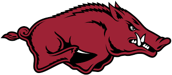 2010 Arkansas Razorbacks Football Team Wikipedia