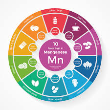 Sep 26, 2018 · why manganese is necessary when pregnant. Health Benefits Of Manganese