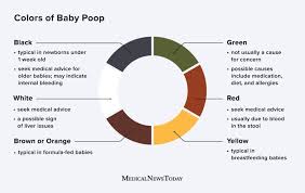 Image result for blood in stool human poop