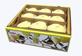 apple packaging box apple fruit packaging apple cardboard box apple packaging fruit packaging fruit juice brands
