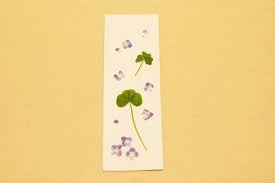今回は牛乳パックで作る 押し花 しおり の作り方をご紹介します ノリやボンドを使わなくても アイロンで花を牛乳パックに押し付けるだけで できちゃうんです 旅先の思い出の植物や 春は桜の花びら 秋には紅葉した 葉を押し花にしてもきれいですね 押し花 しおり