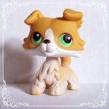Littlest Pet Shop Collie 272 In 2020 Lps Collies Lps Pets Pet Shop
