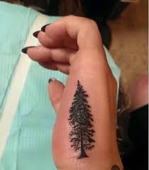 The cedar tree has been revered by many for thousands of years, its wood used to make doors for sacred structures and burned in cleansing not all tree tattoos have to have meanings. Small Pine Tree Tattoo Meaning Elegant Arts Tattoo