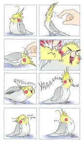 Artist Draws Comics About Her Pet Bird And They Re Too Positive Funny Parrots Cute Animal Memes Funny Birds