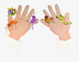 I've done similar things from art books but never really succeeded in getting proportions of the i personally thank them both! Full Size Of Things To Draw On Your Hand Tumblr Artsy Drawing Transparent Png 5371x3723 Free Download On Nicepng