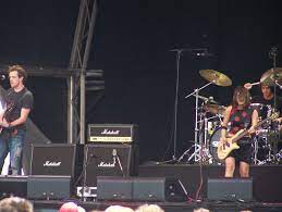 Has a 3 piece band called the sick puppies, in which he plays lead guitar, bass and vocals. Sick Puppies Wikipedia