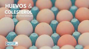 Huevos Y Colesterol Cuantos Huevos Puedo Comer Al Dia Qmayor