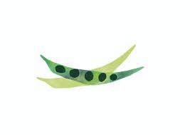 Illustration D Un Petit Pois Par Flora Gressard Pour Dans Votre Votre Petite Cuisine Dansvotrepetitecuisine Il Petite Cuisine Traiteur Illustration