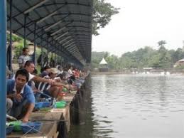 Bagaimana Mengurus Izin Usaha Kolam Pemancingan Tribun Jogja