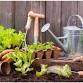 Angola Seed Exchange Garden Lab