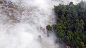 Dan namun dikarenakan hal tersebut pula, adanya kebakaran di hutan seringkali mengahmpiri negara indonesia, dan bahkan telah menjadi sebuah. Mengapa Angka Kebakaran Hutan Indonesia Di 2017 Turun Drastis Kumparan Com