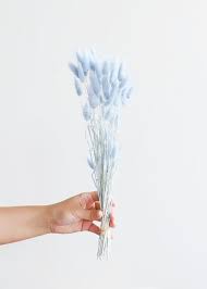 Cuba Fuerte Collection Blue Chevy Classic Car Photographic Print Philippe Hugonnard Art In 2020 Blue Aesthetic Pastel Light Blue Aesthetic Baby Blue Aesthetic