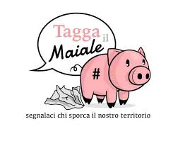 Giovane maiale su un'erba verde. Associazione Per La Liberazione Del Maiale Home Facebook