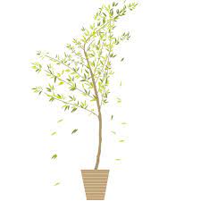 adesivo de parede decorativo bambu mosso decoracao adesivo de parede arvore decoracao online