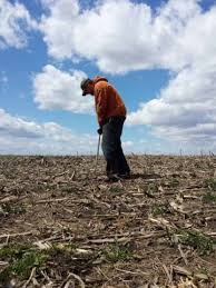 Why is there a helicopter spraying fields- Should you be worried?