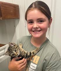 Finally started our Halkida 2024 cat calendars today. First 2 months are  all about gorgeous white cats. Here is the month of November starring  Eddie, Rupert and Rufus, Yuki, Mr Bojangles, Sophie