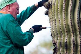 Find price estimates for hiring a local moving company. For The Prickliest Patients A Desert Doctor Makes House Calls The New York Times