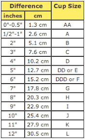 Basic Size Chart For Womens Lingerie