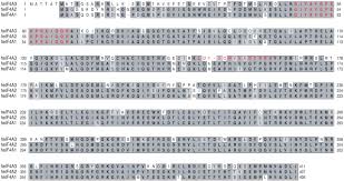 This is a virtual event. Eif4a3 Is A Novel Component Of The Exon Junction Complex