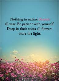 Nothing In Nature Blooms All Year Be Patient With Yourself Deep In Their Roots All Flowers Sto Flower Quotes Life Flower Quotes Quotes About Flowers Blooming