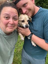 Lost dog found safe in mockingbird valley rd area