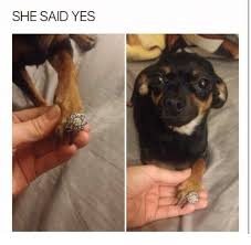 She Said Yes Meme On Me Me