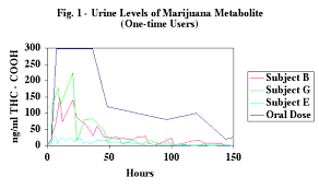 marijuana drug test detection times canorml