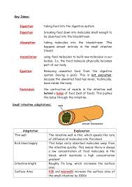 Often students are unable to score their desired. Igcse Biology Revision Notes 2 Biology Revision Igcse Biology Study Flashcards