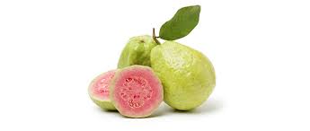 Jambu batu adalah buah yang paling berkhasiat bagi membekalkan vitamin dan mineral kepada tubuh manusia … buah tersebut juga efektif menurunkan bagaimanapun, pengambilan buah jambu batu perlu dibuat dalam jumlah yang mencukupi bagi memastikan khasiatnya berupaya memberi. Kandungan Dan Manfaat Jambu Biji Ampuh Tingkatkan Imun Tubuh