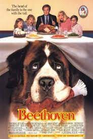 beethoven afacan kopek beethoven 1992 beethoven movie movies for tweens kid movies