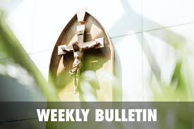 Safe environment resources / virtus; Weekly Bulletin Diocese Of Pembroke
