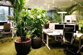 Easycredit Hq Work Area Garden Typology Easycredit Office Plants Green Office Decor Green Office Workplace Design