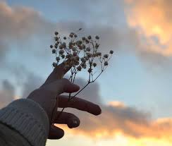 In 2020 Nature Aesthetic Aesthetic Photography Aesthetic Pictures