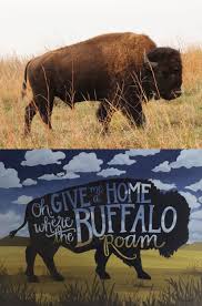 Oh Give Me A Home Where The Buffalo Roam Oh Give Me A Home Where The Buffalo Roam I Got It I Should Put This On A Wall In My Home Bufalo