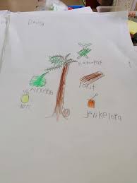 Gambar cangkang kelapa sawit cangkang kelapa sawit memiliki banyak kegunaan serta manfaat bagi industri, usaha, rumah tangga dan lain lainya. Kegunaan Pokok Kelapa Dan Prasekolah Sk Bukit Kuari Facebook