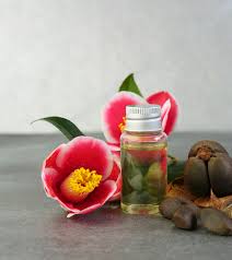The oil also protects your hair from environmental pollutants. Camellia Oil For Hair Benefits And How To Use