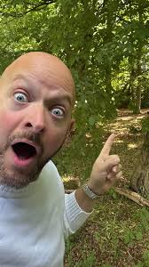 Editors, please can someone put something scary in the forest? 😅