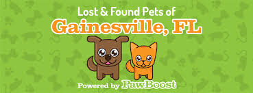 Faithful friends pet rescue & rehoming gainesville, fl click here to read our message regarding covid 19 and its impact on faithful friends. Gainesville Fl Lost Dogs Cats Pets Home Facebook