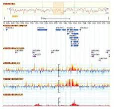 Plncdb Attempts To Provide The Following Functions Related To Long Noncoding Rnas Lncrnas 1 Genomic Inform Stress Treatment Developmental Stages Stress