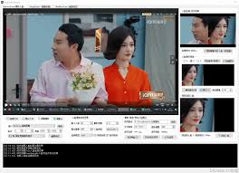 VtubeKit 】Deepfacelab+live的一体化图形界面版)-【DFL】软件 ...