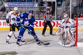 Vehvilainen isn't likely to see any nhl action this season unless injuries hit the blue jackets hard in net. Cleveland Monsters Goaltender Veini Vehvilainen Vs The Toronto Marlies February 26 2020 Photo On Oursports Central